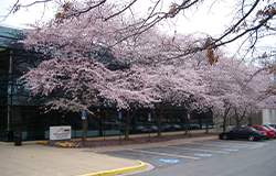 Largo, MD Headquarters | Phoenix provides a full range of underwater services to accomplish complex operations from the surface to water depths of 6,000 meters.